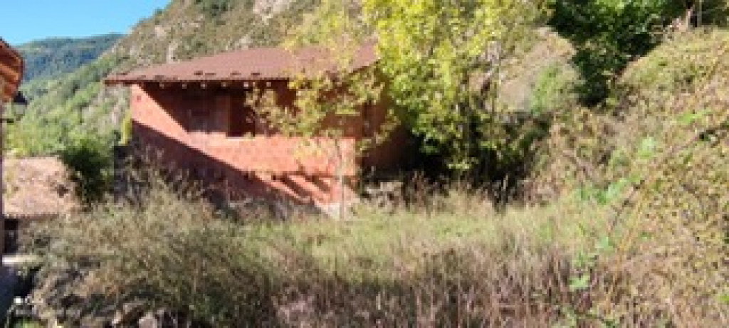 Terreno-immovall