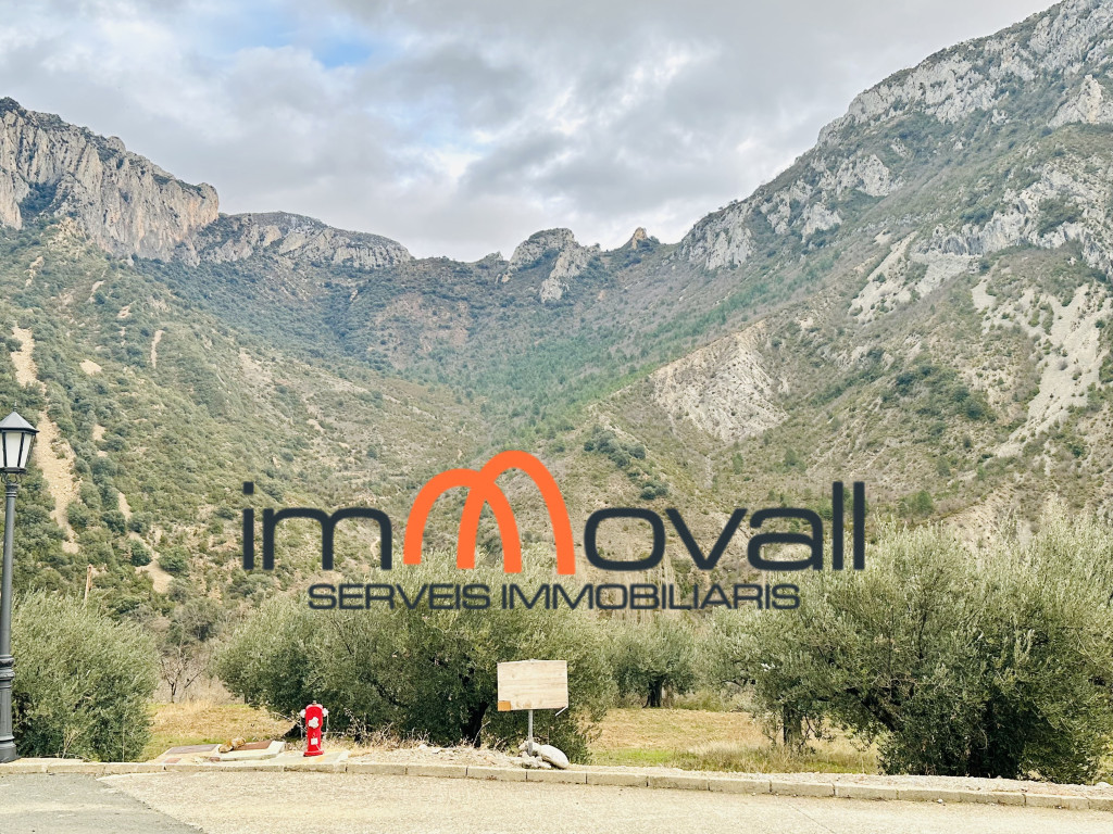 Terreno-immovall