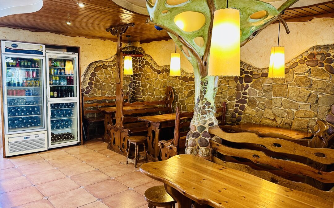 LOCAL CIAL PLA DE L’ERMITA