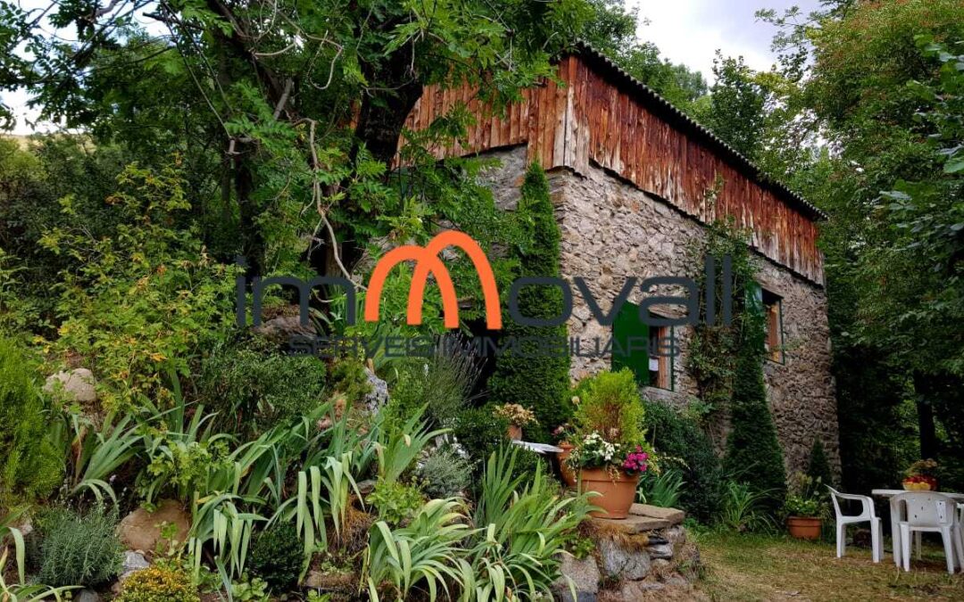 ANTIGUO MOLINO AFUERAS DURRO