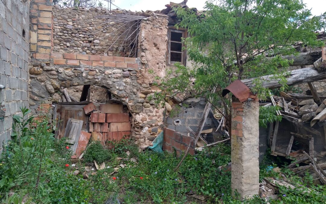 TERRENO CON PAJAR EN TOLVA